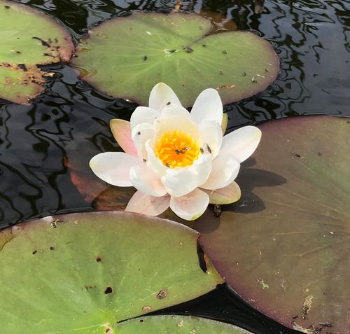 Klantervaring Piekeren 9