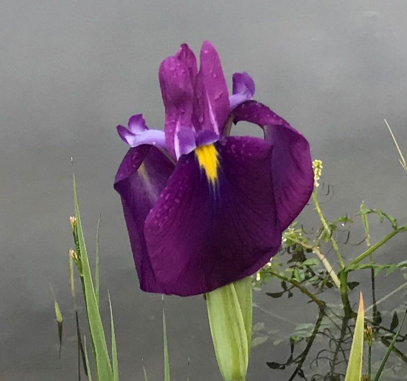 Klantenreferenties Omgaan met kanker 2
