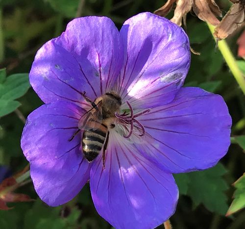 Klantenreferenties Omgaan met kanker1