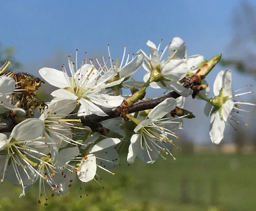 Klantenreferenties loopbaan 2