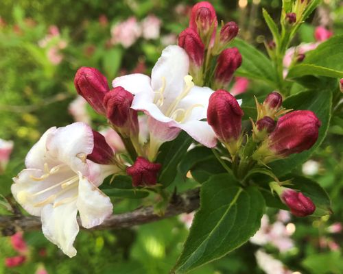 Klantenreferenties loopbaan 3