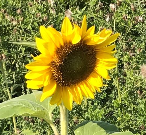 Klantervaring Piekeren 10