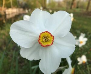 Klantervaring Piekeren 14