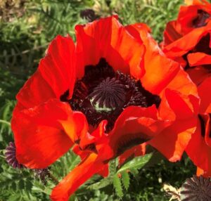 Klantervaring - Stress burnout 3