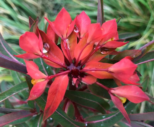 Klantervaring - Stress burnout 4