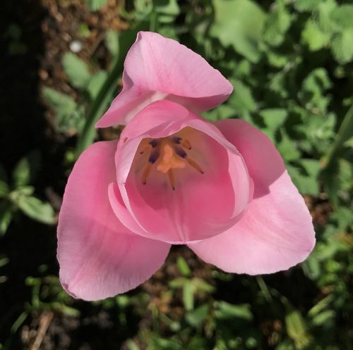 Klantervaring - niet lekker in vel 3