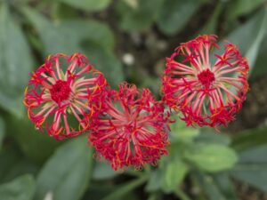 Klantervanring - Stress burnout 5