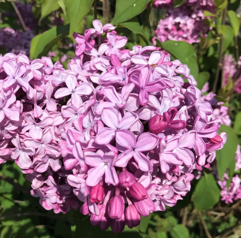 Klantervaring - niet lekker in vel 4