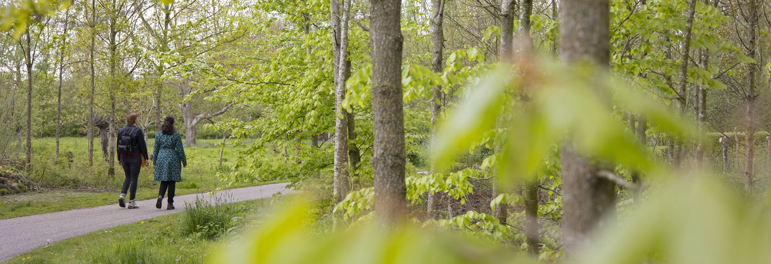 De Piekerspecialist - Wandelcoaching Utrecht - Stoppen met piekeren 3